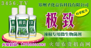 辣椒爛根、早衰、畸形怎么辦？辣椒專用微生物菌劑助你豐收無(wú)憂