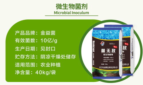 辣椒專用微生物菌劑——金益菌生物科技引領(lǐng)生物菌劑新趨勢(shì)